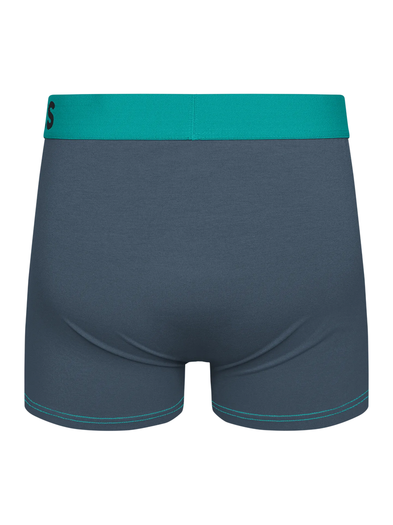 grey-turquoise-mens-trunks-42/42eed90b96f21d2ed5e320c952ff101e203bc2cf