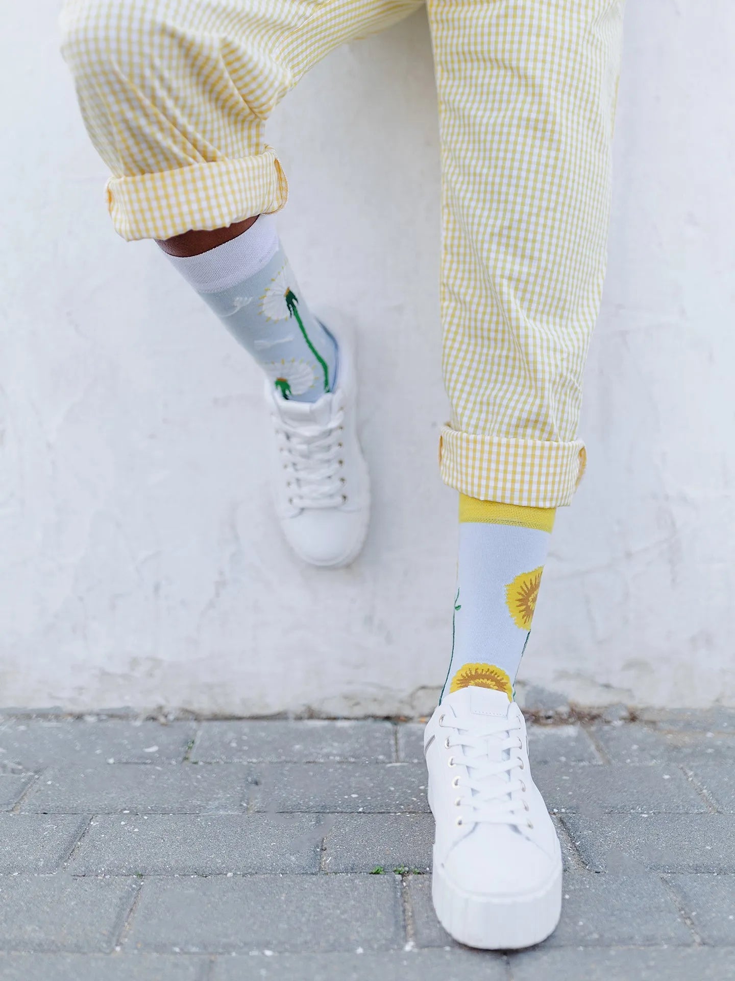 regular-socks-dandelion-spring-02-54/548b9a03e74fb7ee7c1232008c788f669485ddc4