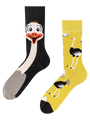 regular-socks-ostrich-02-56/56e9d4d5788f4c3fda3891919197b1489d395e87