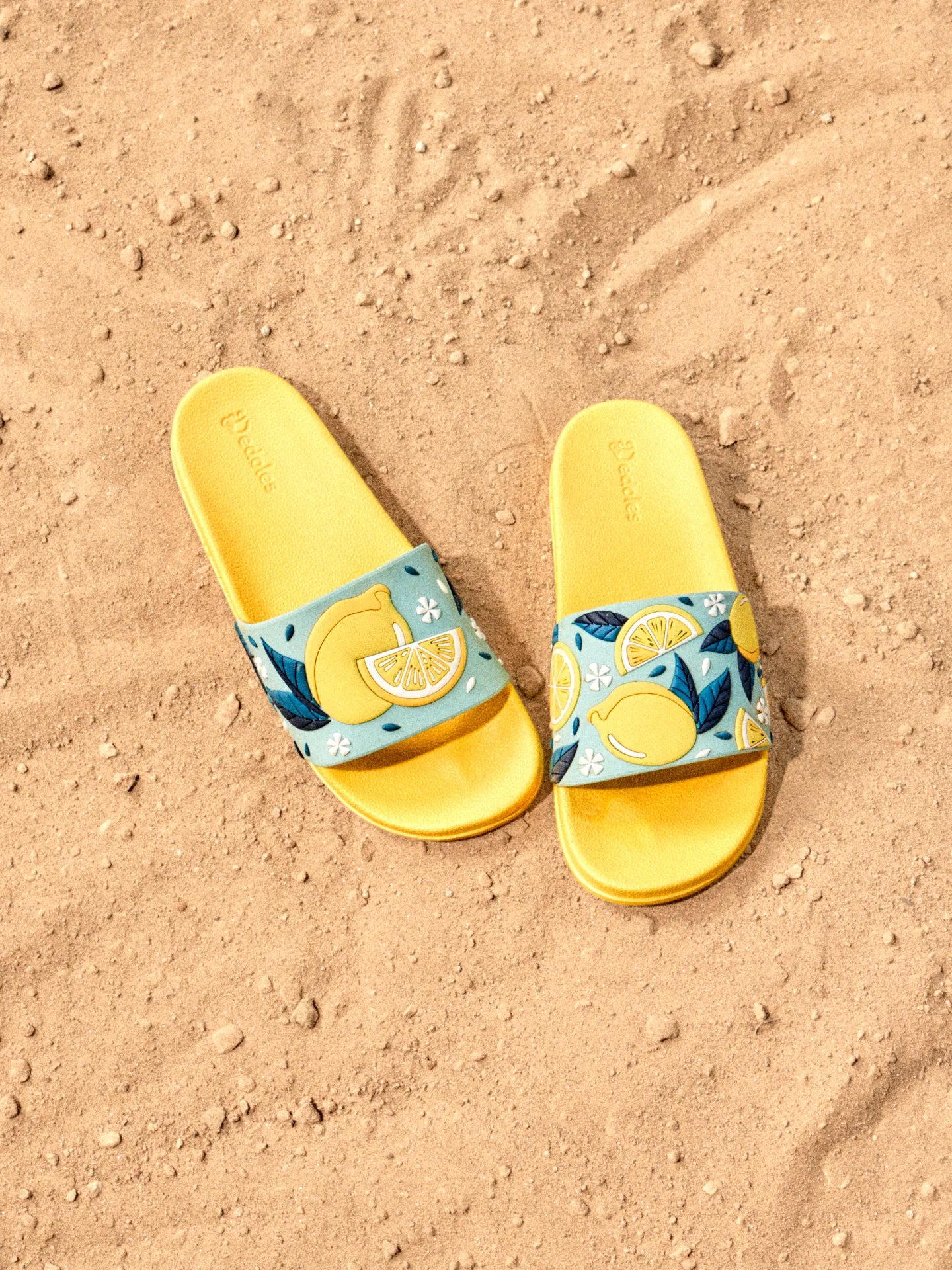 slides-summer-lemons-1-58/58c629c03e3547f0846bebcac9ffe004d83442e4
