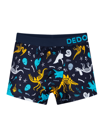 boys-boxers-dinosaurs-okt-6e/6e29d3b45622d255dbe456bac2cac36d78524aa4