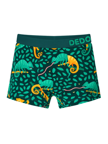 Boxeri Veseli Băieți Cameleon la Vânătoare