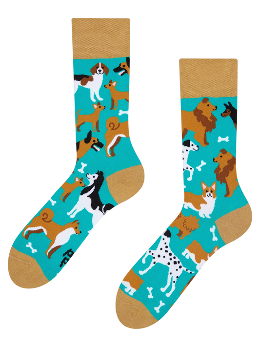 regular-socks-dog-friends-02-60/60c891b33101432d2bc096fa735eb5ac9105c525
