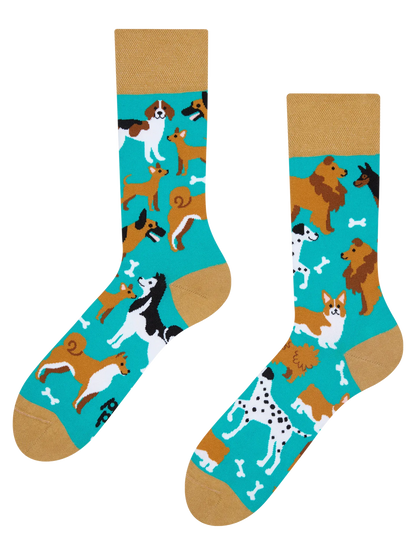 regular-socks-dog-friends-60/60c891b33101432d2bc096fa735eb5ac9105c525