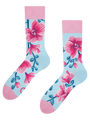 regular-socks-orchid-69/69413dbb86d7b57d37eea0bc7fc8e6266dbdf9bc