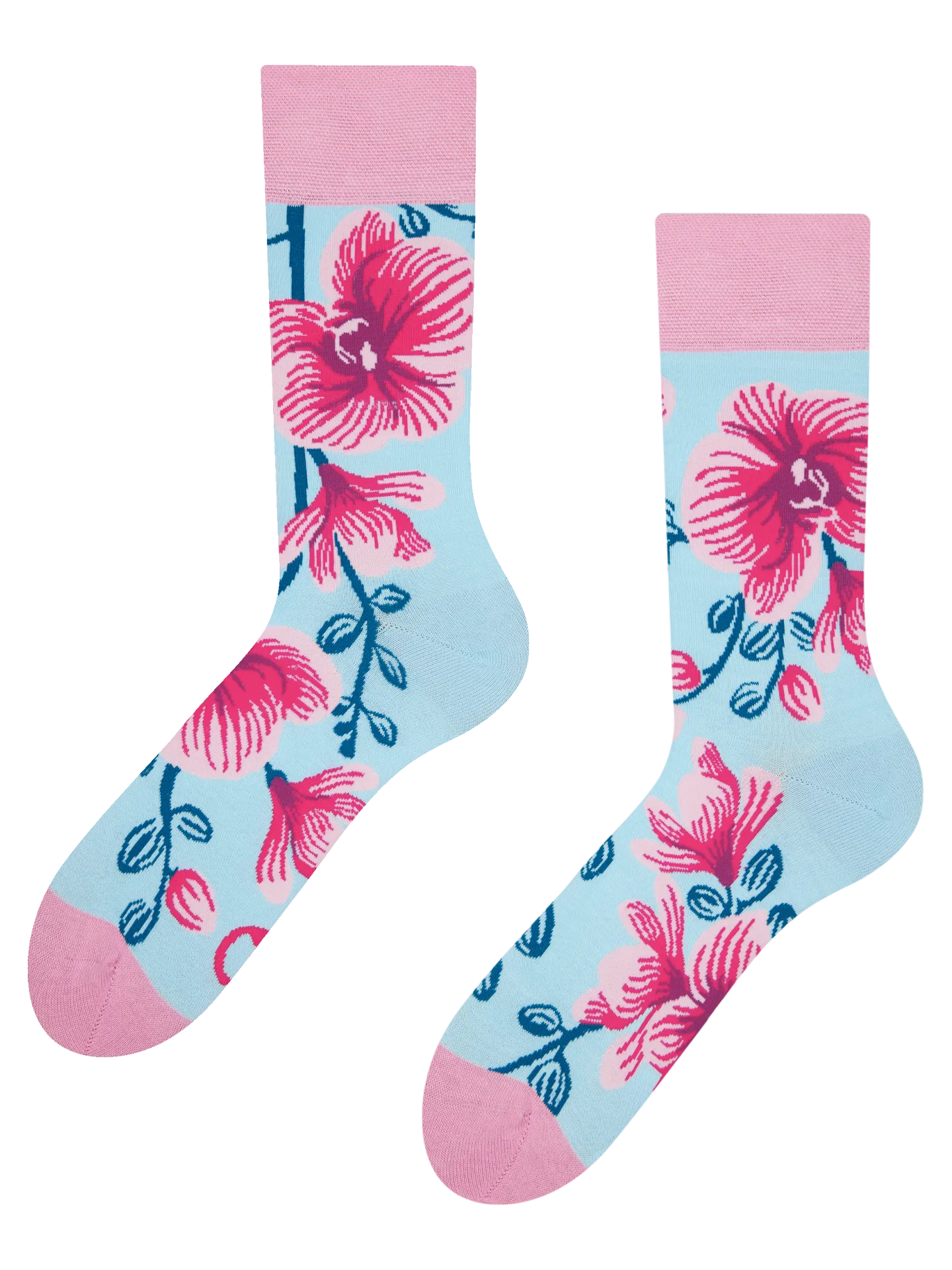 regular-socks-orchid-69/69413dbb86d7b57d37eea0bc7fc8e6266dbdf9bc