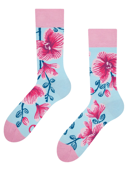 regular-socks-orchid-69/69413dbb86d7b57d37eea0bc7fc8e6266dbdf9bc
