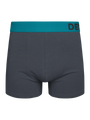 anthracite-grey-mens-trunks-okt-69/697387afea245a78224dc05788a1400c659e4e86