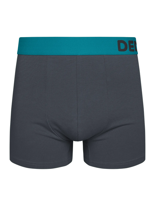 anthracite-grey-mens-trunks-okt-69/697387afea245a78224dc05788a1400c659e4e86