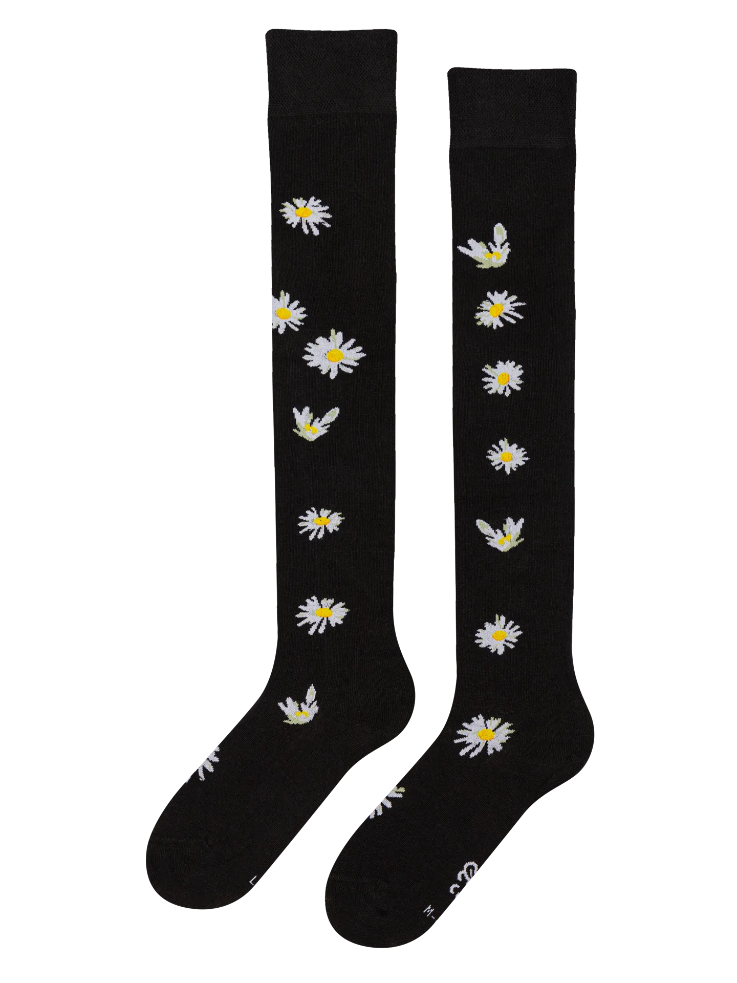 over-the-knee-socks-daisies-at-night-6a/6af667c1d93e4539b7ea6484cebd8fac447343a8