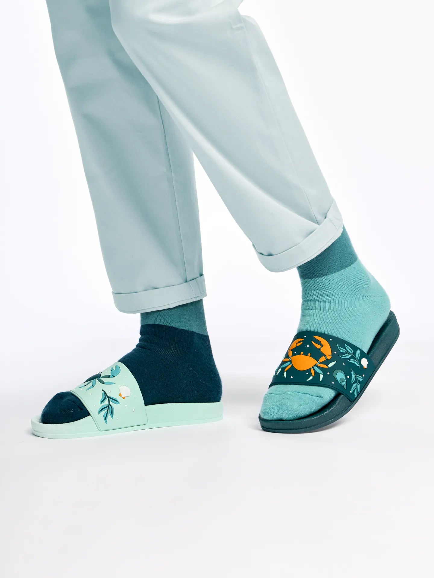 slides-sea-crab-6d/6da0e9291387c48e633f555c98a27d50483c28c3