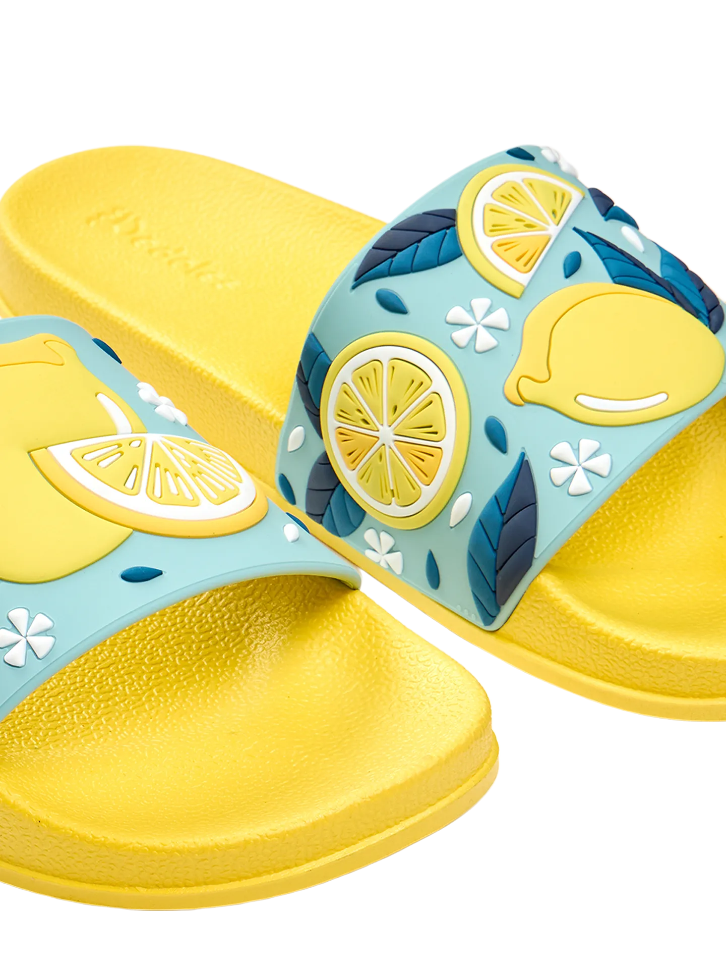 slides-summer-lemons-1-75/75850e3a6f5f0e82f8adc694f3944bd4c561dc2e