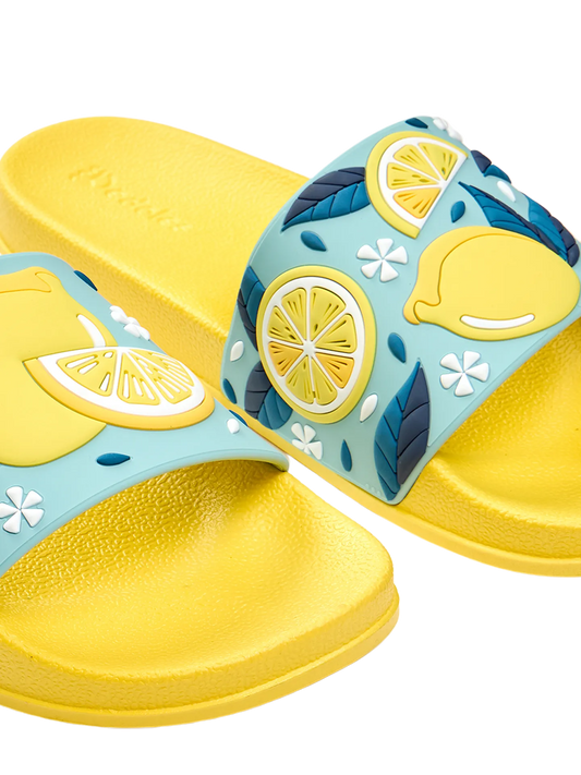 slides-summer-lemons-1-75/75850e3a6f5f0e82f8adc694f3944bd4c561dc2e