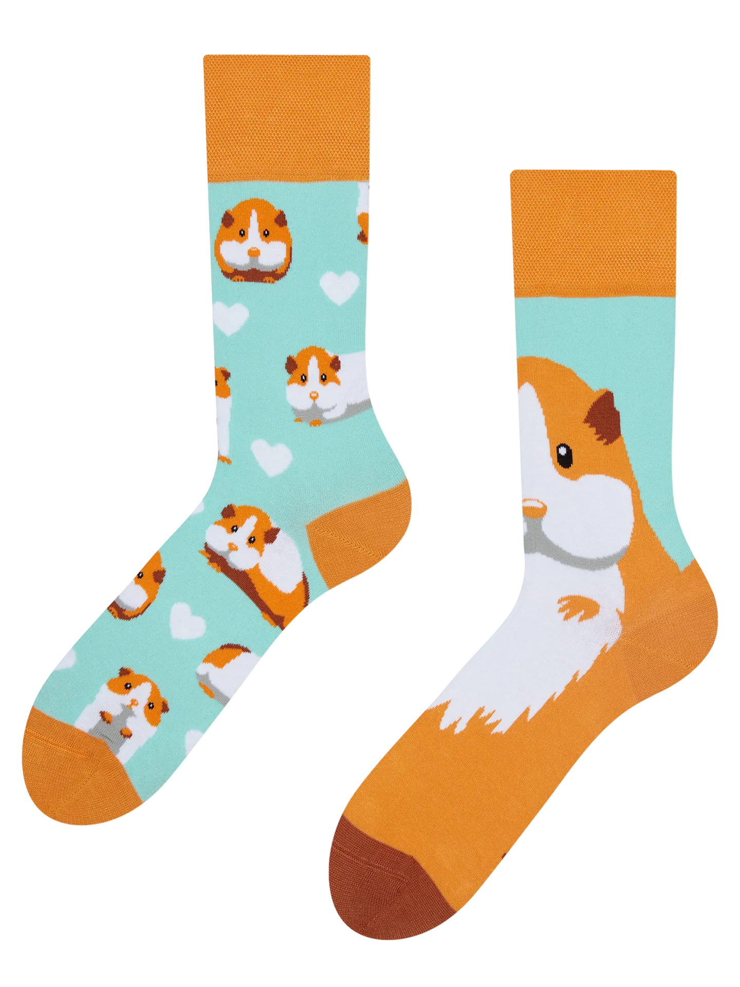 regular-socks-guinea-pig-02-69/698a85de33193804ab4fdba38452adcb24f639fe
