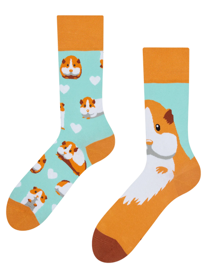 regular-socks-guinea-pig-02-69/698a85de33193804ab4fdba38452adcb24f639fe