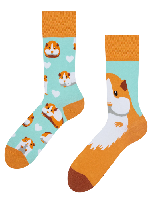 regular-socks-guinea-pig-02-69/698a85de33193804ab4fdba38452adcb24f639fe