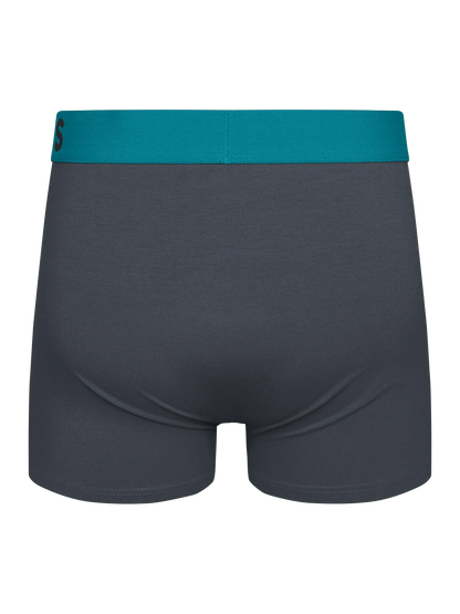 anthracite-grey-mens-trunks-okt-78/78bd35e5e0e8c742068ce801efe668554a852d8b