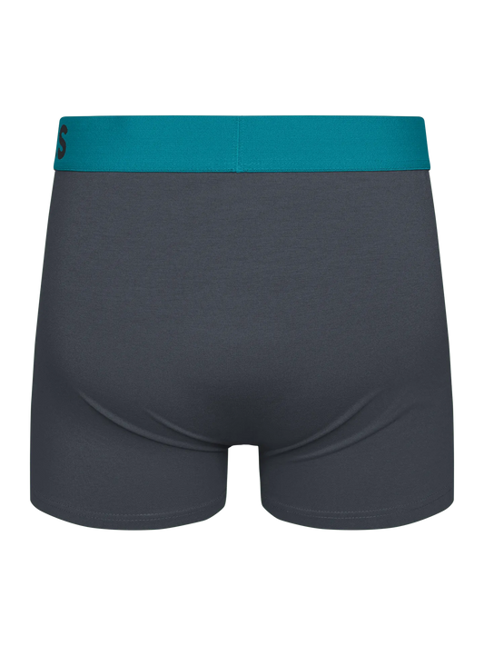 anthracite-grey-mens-trunks-okt-78/78bd35e5e0e8c742068ce801efe668554a852d8b