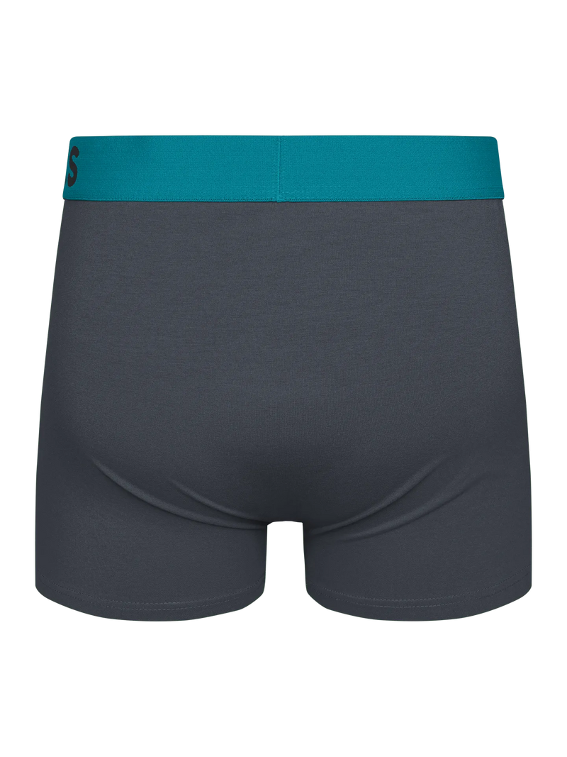 anthracite-grey-mens-trunks-okt-78/78bd35e5e0e8c742068ce801efe668554a852d8b