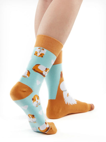 regular-socks-guinea-pig-02-50/50e53cbca868a23f89dc2d891a5dd25aa70c1bd5