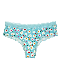 women-s-lace-hipster-briefs-hearts-daisies-fe/fe6229b70a66a95e982b511c6645e5e49a8b73e2