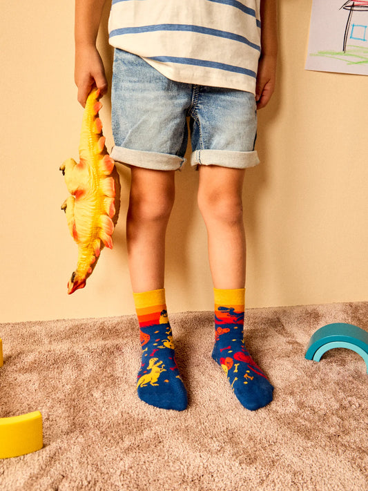 kids-socks-dinosaur-world-okt-8b/8b0d972edc84ffbafaf08a425b4ff8ff5c9e8048