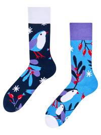 warm-socks-bird-in-winter-a9/a9f34c398e8e2fe89803b6408011e4302ce41f83