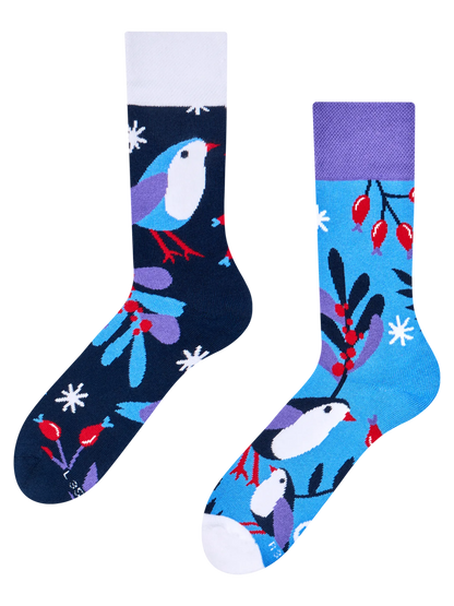 warm-socks-bird-in-winter-a9/a9f34c398e8e2fe89803b6408011e4302ce41f83