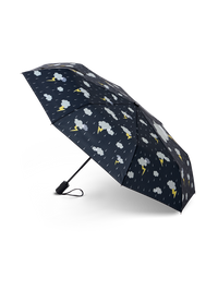 umbrella-storm-50/5076b02c825cefa611503ead1e6def3834baa3ca