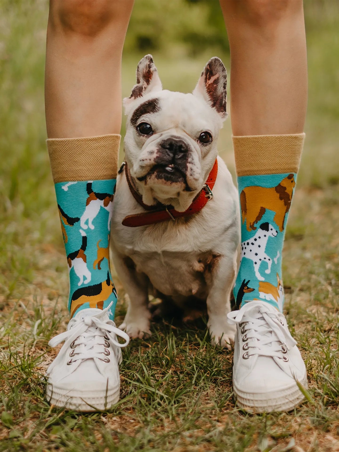 regular-socks-dog-friends-02-40/4032eefb049551575a7ad60da3e93b2dfc29b804