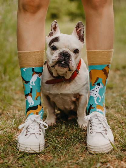 regular-socks-dog-friends-02-40/4032eefb049551575a7ad60da3e93b2dfc29b804
