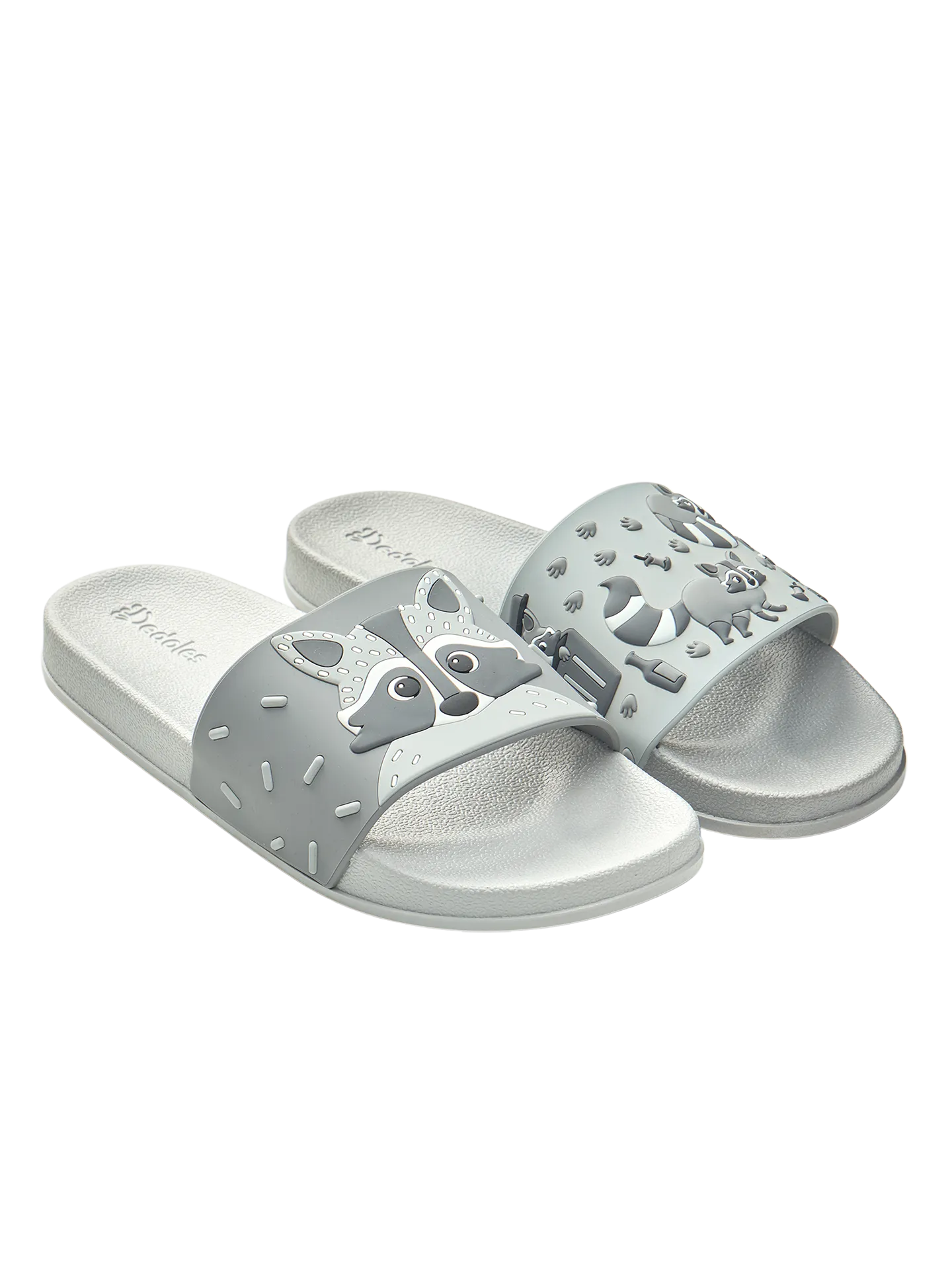 slides-racoon-1-98/981305cf3e66c06ac521745cc5b81bd0520f1301