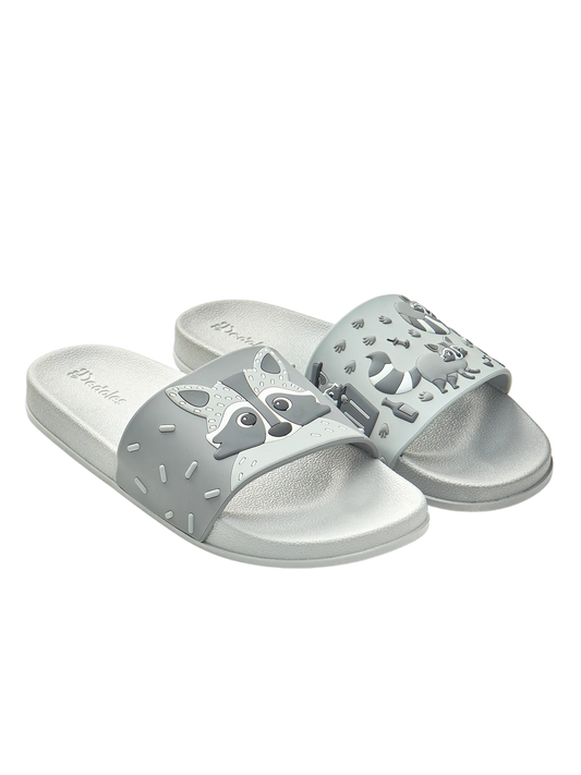 slides-racoon-1-98/981305cf3e66c06ac521745cc5b81bd0520f1301