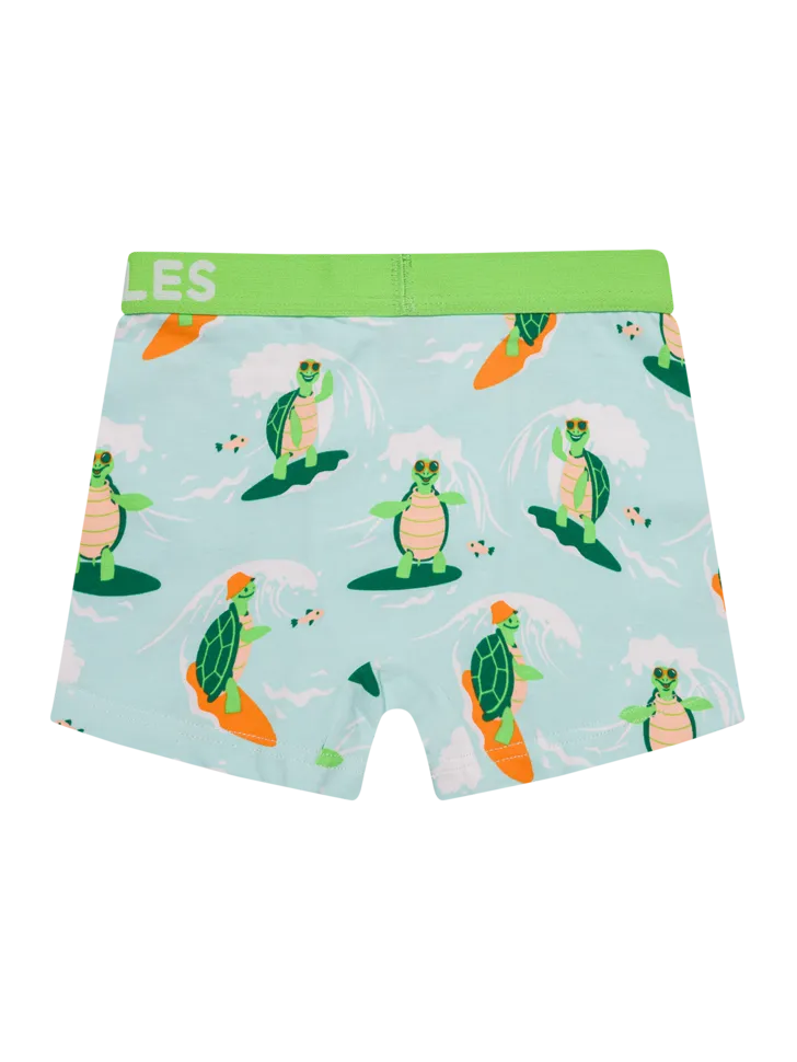 boys-boxers-turtle-the-surfer-cd/cdb10d861b3b32b7ac1ef69ad0ab7f4f5852c33c