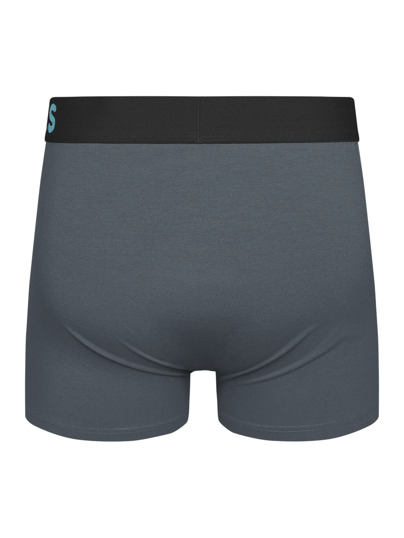grey-mens-trunks-okt-9b/9b8ff4a50d4238475e919c67b2c5695d753a1ae2