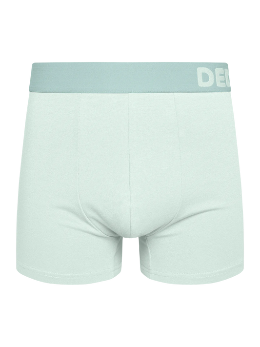 mint-green-mens-trunks-9c/9c08afa2f6ed655ced0ab4faa1b76312de8efbec