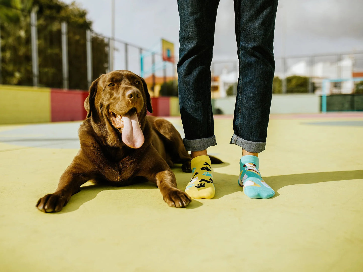 ankle-socks-happy-dog-02-a7/a75a9818cc8cc26f7f3b0568ba1bf13aca8c88bd