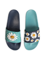 slides-daisy-blossom-aa/aa72b0ce1d09ba97872edac0fe735ab3b086e0ae