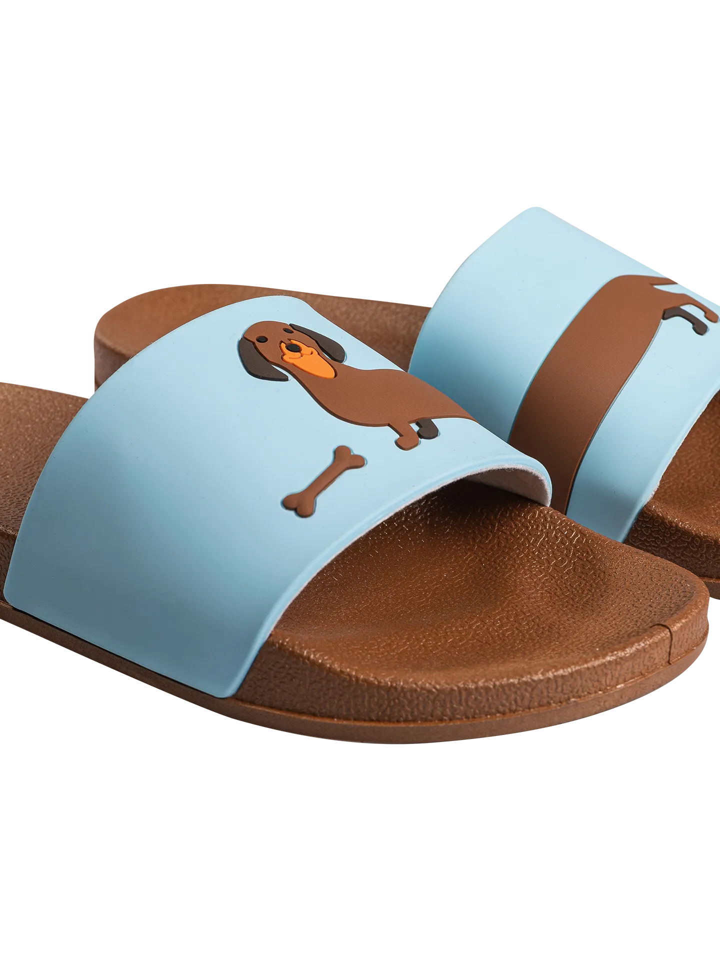 slides-long-dachshund-02-ae/ae7d42cd9957a28f417a7c0ed04072b6c5303744