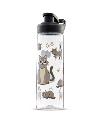 Sticla pentru Apă Veselă Pisică Gri 700 ml