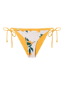 bikini-bottom-oranges-b2/b2fe00b9939ce26e7c0beee37b8f4d2a6dd3bb02