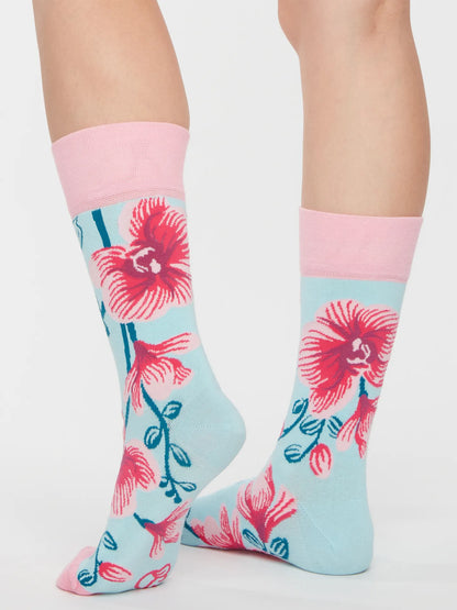 regular-socks-orchid-b6/b63d62595103adc676dcdc3f9a0a745a7f8c1ce2
