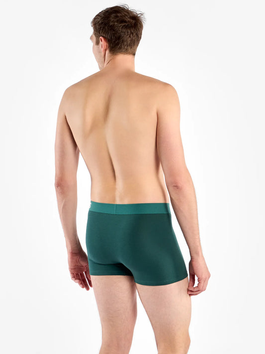 dark-emerald-mens-trunks-b6/b6e065cc9a12c1863ad5aae7ba77602ee5426b54