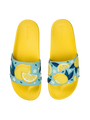 slides-summer-lemons-1-b7/b7add31a87c17b17505557fefee470d6e68676af