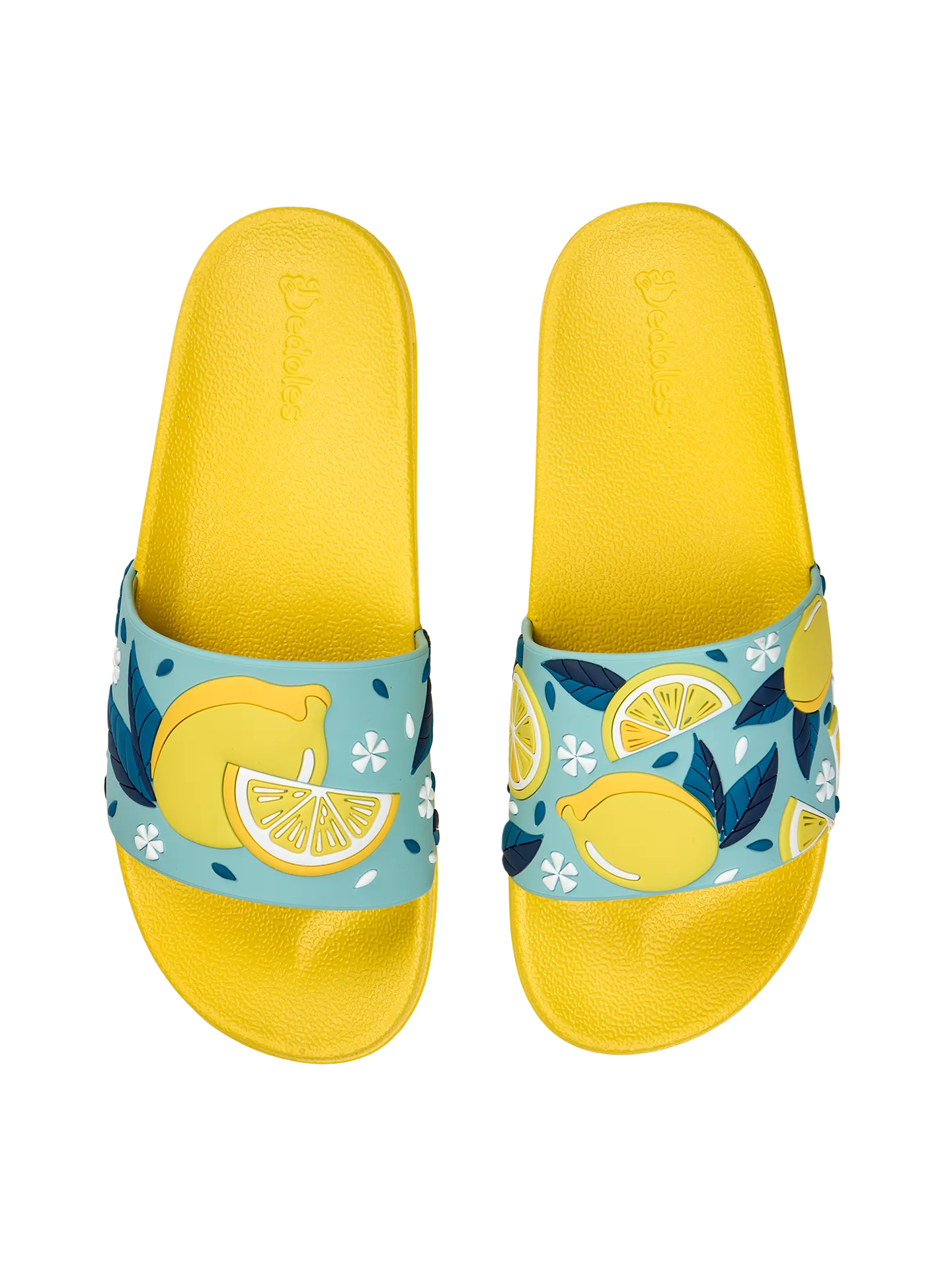 slides-summer-lemons-1-b7/b7add31a87c17b17505557fefee470d6e68676af