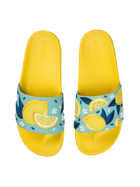 slides-summer-lemons-1-b7/b7add31a87c17b17505557fefee470d6e68676af