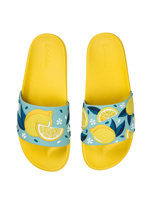 slides-summer-lemons-1-b7/b7add31a87c17b17505557fefee470d6e68676af