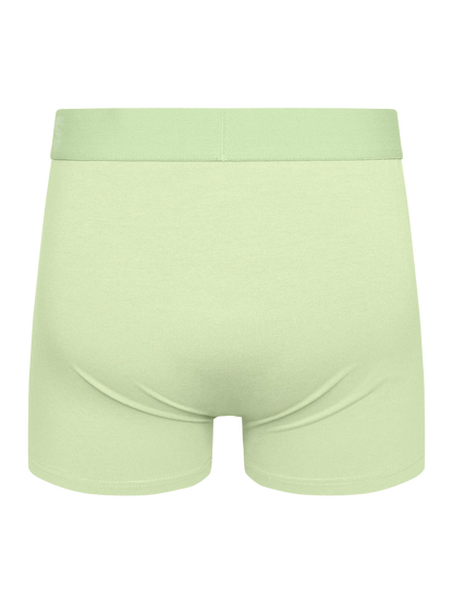 cream-lime-mens-trunks-b9/b9fac74e91590ca06e0da550a0a9ec42abd22eba