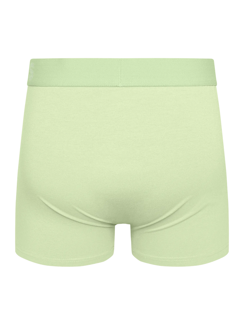 cream-lime-mens-trunks-b9/b9fac74e91590ca06e0da550a0a9ec42abd22eba