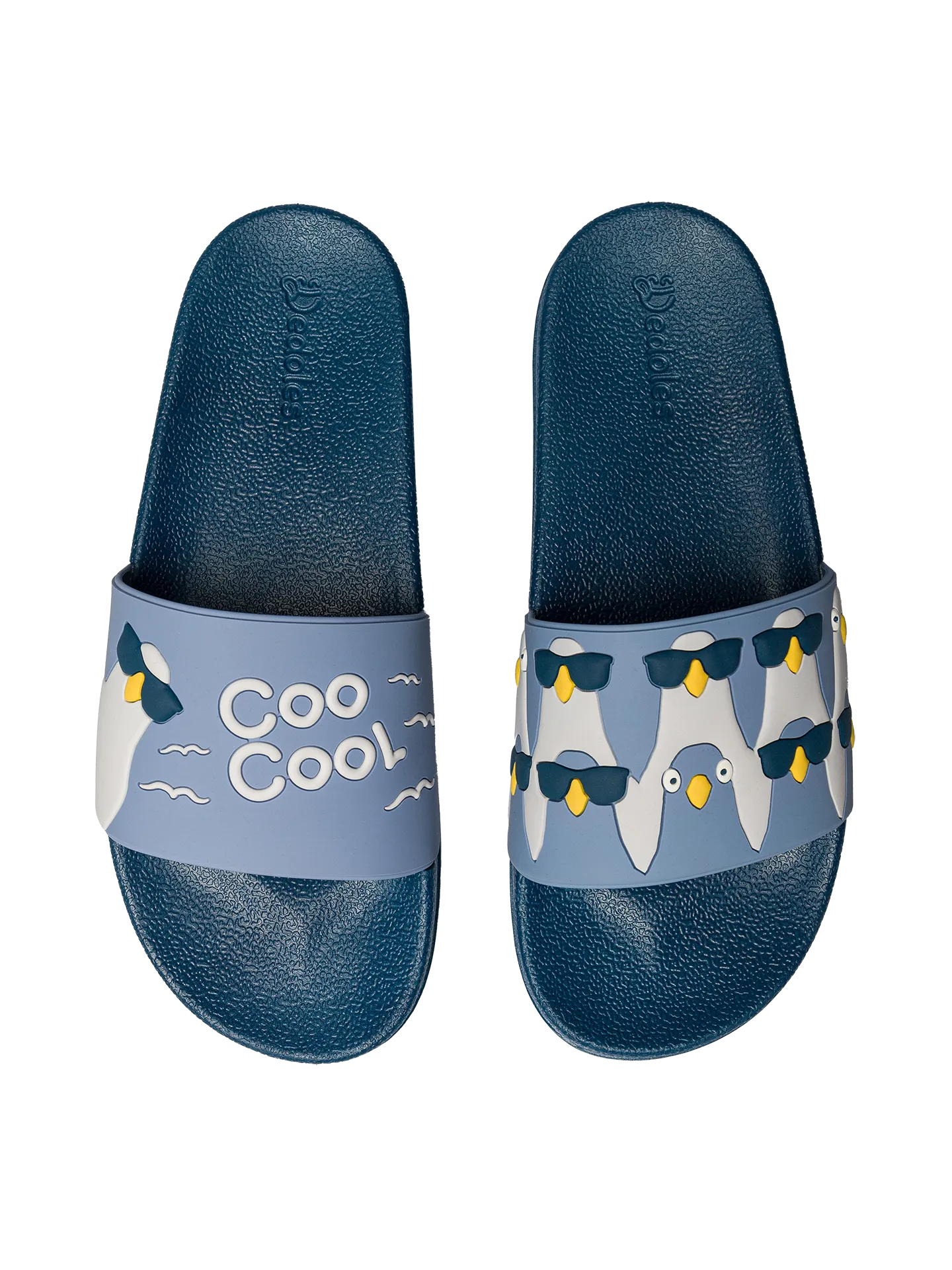 slides-cool-pigeons-bc/bc93654ccc9c50aee6203277ec15f4d447c219a9